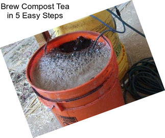 Brew Compost Tea in 5 Easy Steps