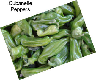 Cubanelle Peppers