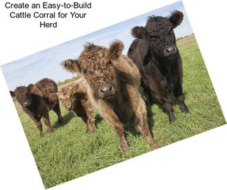 Create an Easy-to-Build Cattle Corral for Your Herd