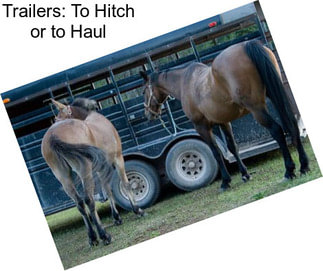 Trailers: To Hitch or to Haul