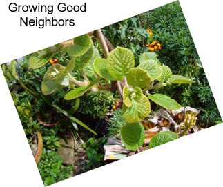 Growing Good Neighbors