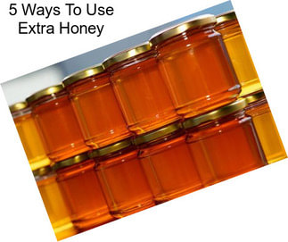 5 Ways To Use Extra Honey