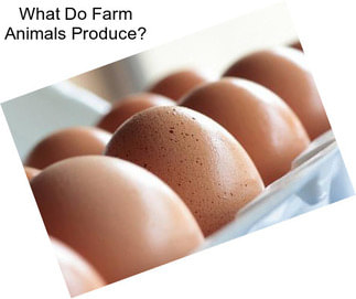 What Do Farm Animals Produce?