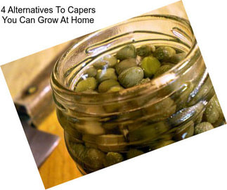 4 Alternatives To Capers You Can Grow At Home