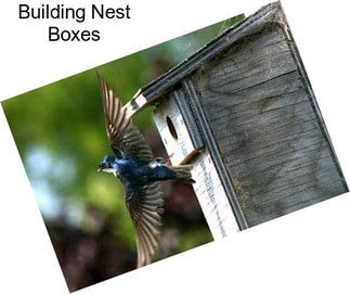 Building Nest Boxes