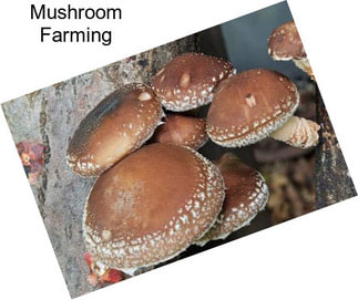 Mushroom Farming