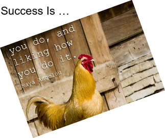 Success Is …