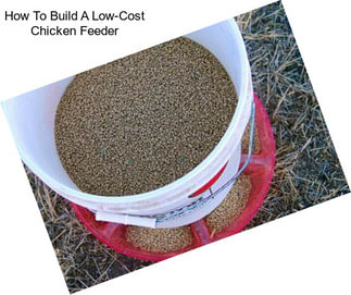 How To Build A Low-Cost Chicken Feeder