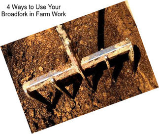 4 Ways to Use Your Broadfork in Farm Work