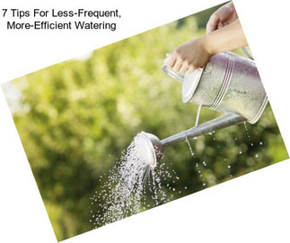 7 Tips For Less-Frequent, More-Efficient Watering