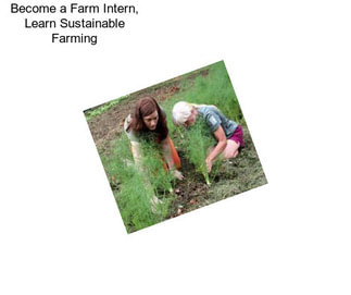 Become a Farm Intern, Learn Sustainable Farming