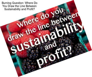 Burning Question: Where Do You Draw the Line Between Sustainability and Profit?