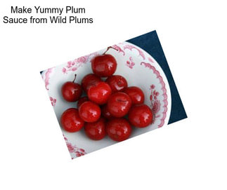 Make Yummy Plum Sauce from Wild Plums