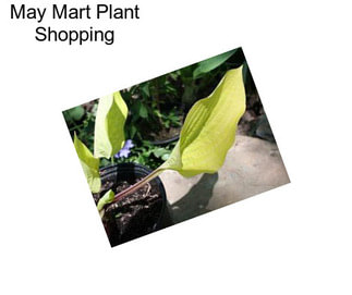 May Mart Plant Shopping