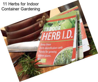 11 Herbs for Indoor Container Gardening