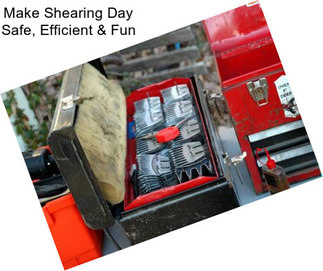 Make Shearing Day Safe, Efficient & Fun