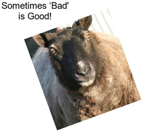 Sometimes ‘Bad\' is Good!