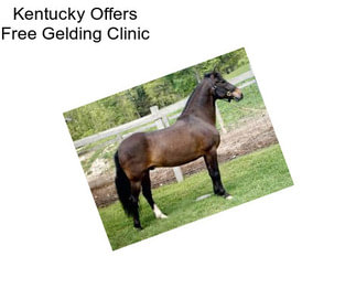 Kentucky Offers Free Gelding Clinic