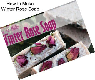 How to Make Winter Rose Soap