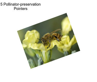 5 Pollinator-preservation Pointers