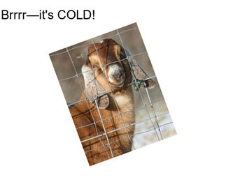 Brrrr—it\'s COLD!