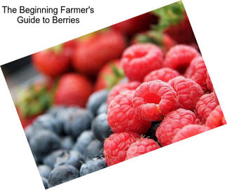 The Beginning Farmer\'s Guide to Berries