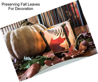 Preserving Fall Leaves For Decoration