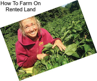 How To Farm On Rented Land