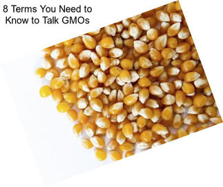 8 Terms You Need to Know to Talk GMOs
