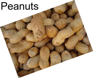 Peanuts