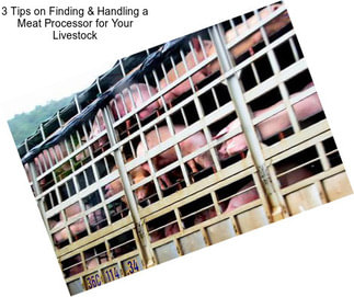 3 Tips on Finding & Handling a Meat Processor for Your Livestock