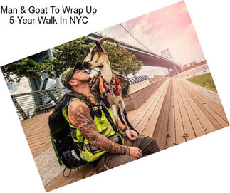 Man & Goat To Wrap Up 5-Year Walk In NYC