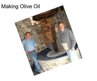 Making Olive Oil