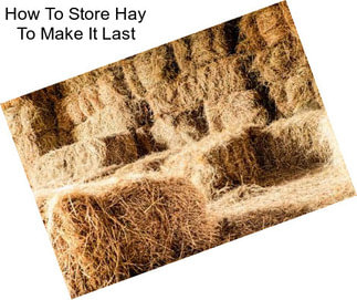 How To Store Hay To Make It Last