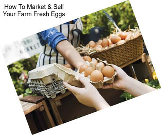 How To Market & Sell Your Farm Fresh Eggs