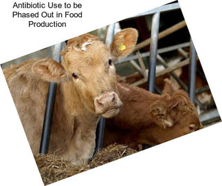 Antibiotic Use to be Phased Out in Food Production