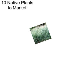 10 Native Plants to Market