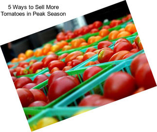 5 Ways to Sell More Tomatoes in Peak Season