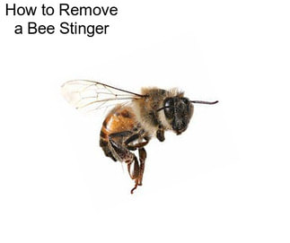 How to Remove a Bee Stinger
