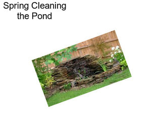 Spring Cleaning the Pond