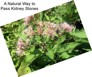 A Natural Way to Pass Kidney Stones