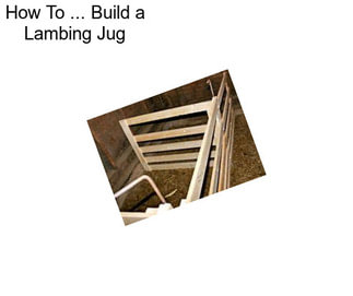 How To ... Build a Lambing Jug