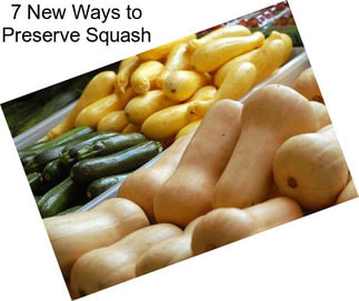 7 New Ways to Preserve Squash