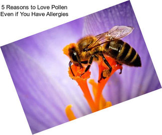 5 Reasons to Love Pollen Even if You Have Allergies