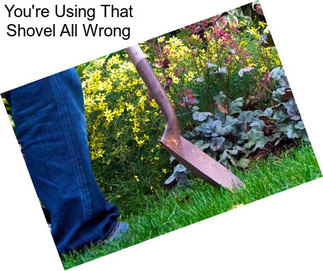 You\'re Using That Shovel All Wrong