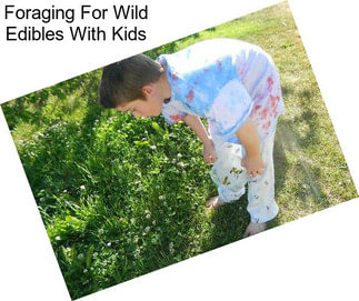 Foraging For Wild Edibles With Kids