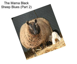 The Mama Black Sheep Blues (Part 2)