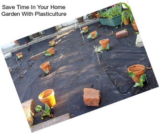 Save Time In Your Home Garden With Plasticulture