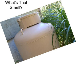 What\'s That Smell?