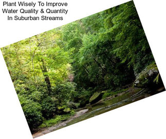 Plant Wisely To Improve Water Quality & Quantity In Suburban Streams